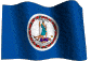 Virginia Flag